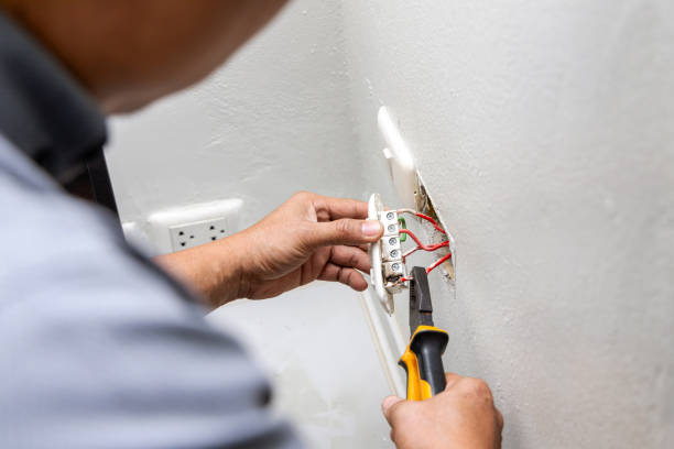 Best Electric Panel Repair  in Buda, TX